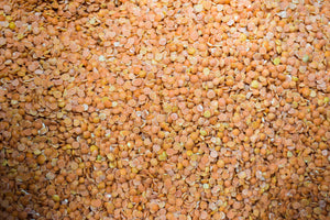 Dried Red Lentils