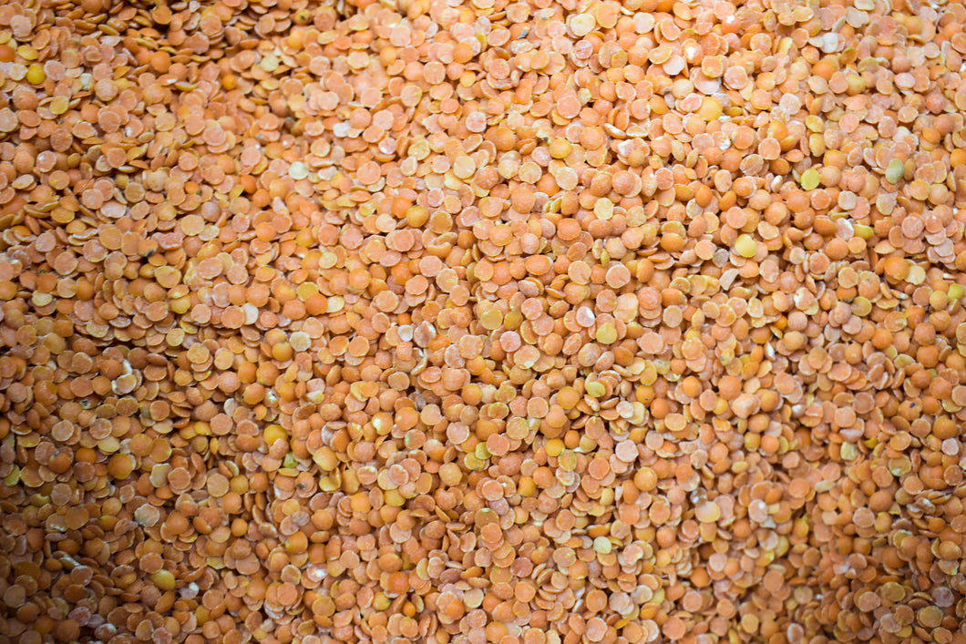 Dried Red Lentils